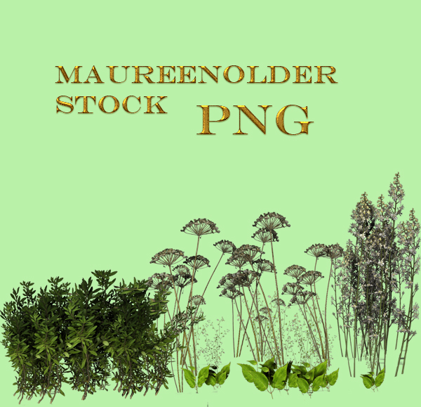 STOCK PNG more plants by MaureenOlder