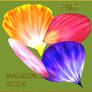 STOCK PNG petals