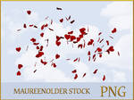 STOCK PNG hearts in the wind