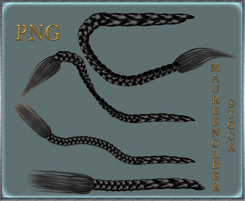 STOCK PNG black braids