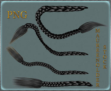 STOCK PNG black braids