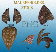 STOCK PNG brownheadpeices