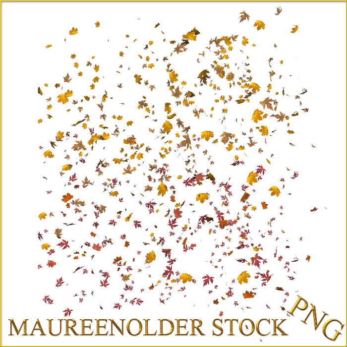 STOCK PNG leaf scatter by MaureenOlder