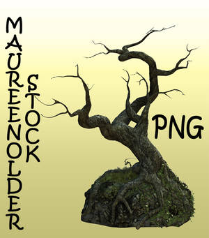 STOCK PNG treerock