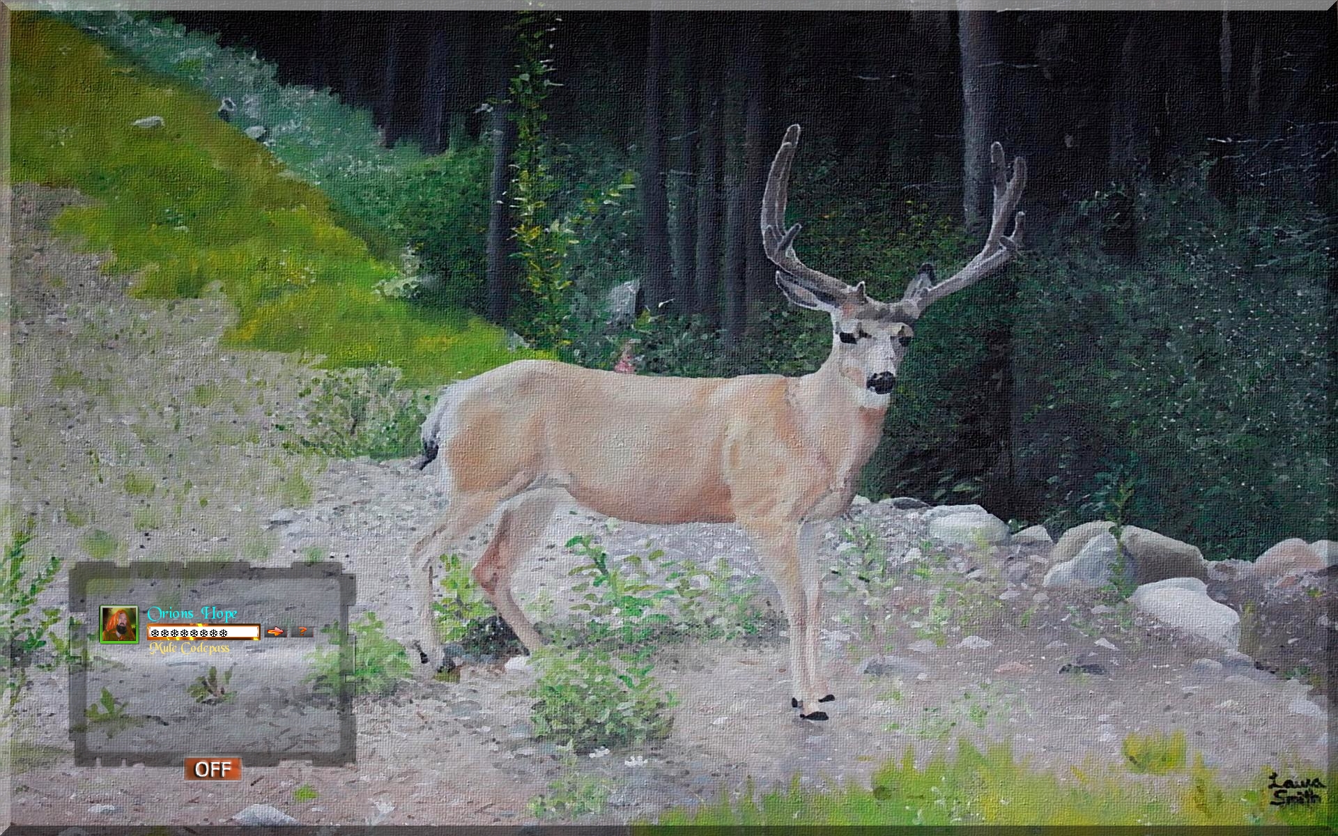 Mule Deer LS