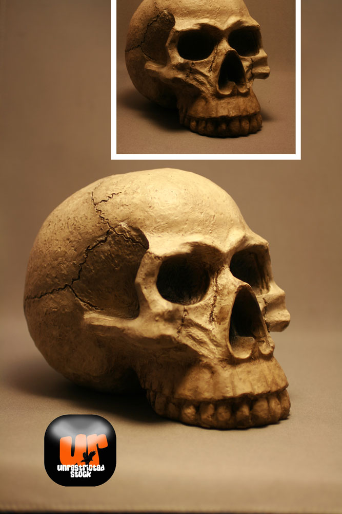Unrestricted Skull Stock