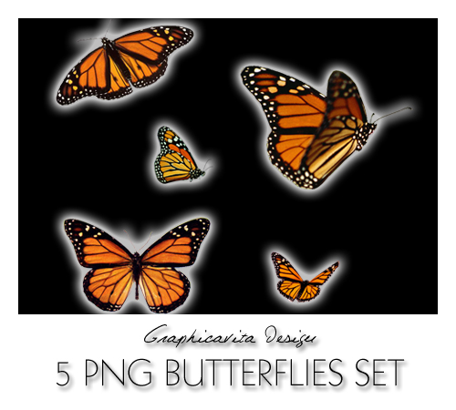 5 PNG Butterflies