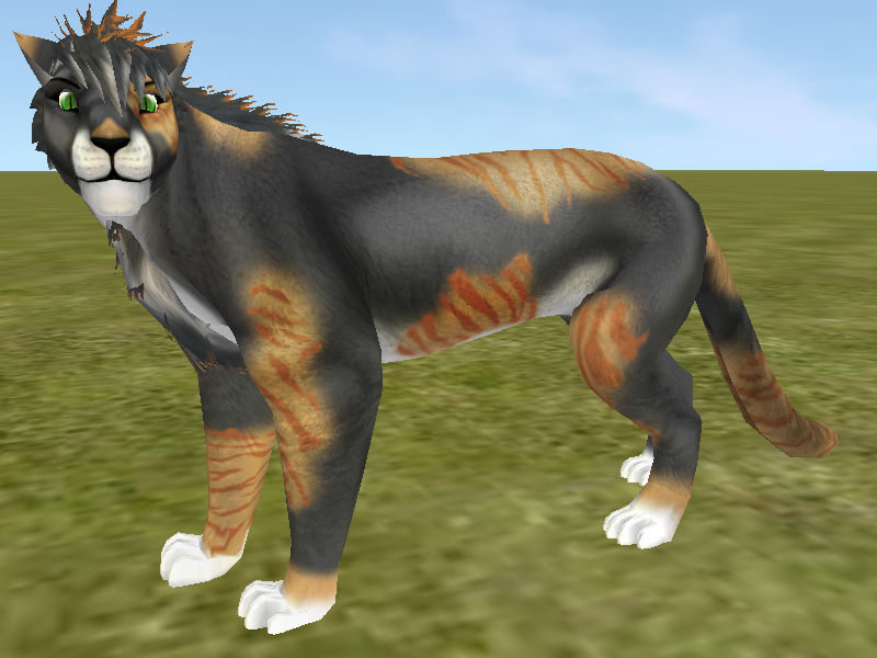 Grey and Ginger Tabby Preset by Shiveringicepack on DeviantArt