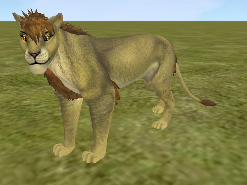 Realistic Lion Preset by Shiveringicepack on DeviantArt