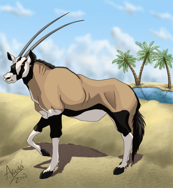 Oryx by LobaFeroz on DeviantArt