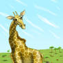 giraffe in the savannah