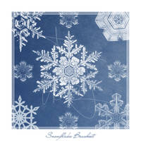 snowflake brushes