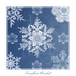 snowflake brushes by meldir