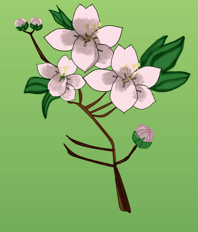 Cherry Blossoms by LaMoonstar on DeviantArt