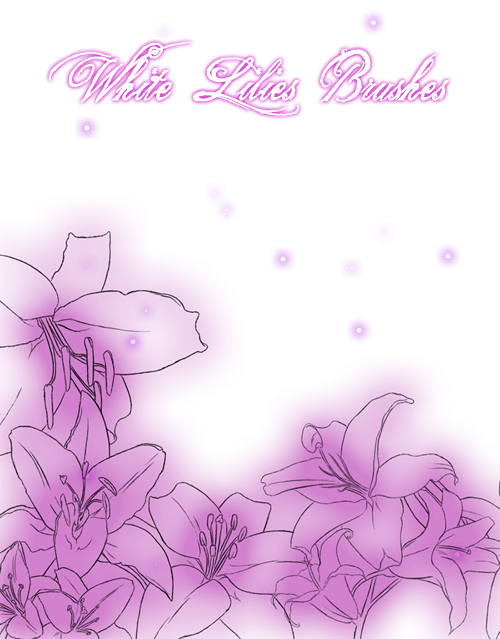 :: Brushes - Lilies ::