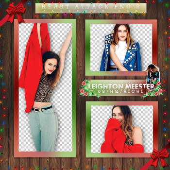 Photopack Png Leighton Meester 03