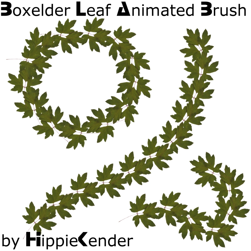 Boxelder Leaf GIMP Brush -Ani.