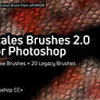 [Photoshop CC] Scales Brushes 2.0