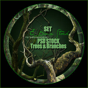 PSD Stock Set - Trees and Branches