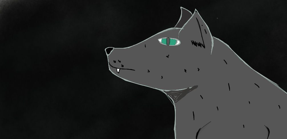 wolf in the shadows by jasminej2 on DeviantArt