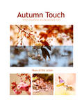 Autumn Touch - action01 by Bluefairy-16