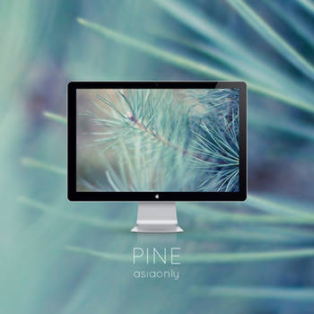 Pine