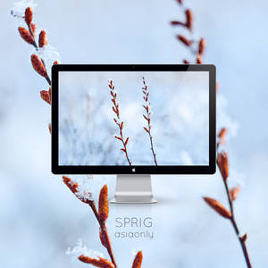 Sprig