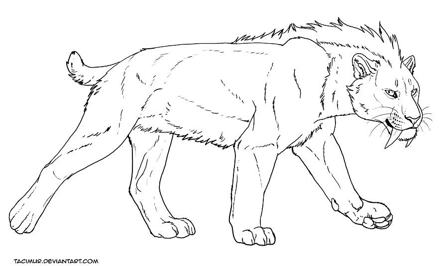 FREE wonky Smilodon lineart by Tacimur on DeviantArt