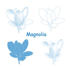 Magnolia Brush Set