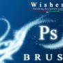 Wishes Ps Brush