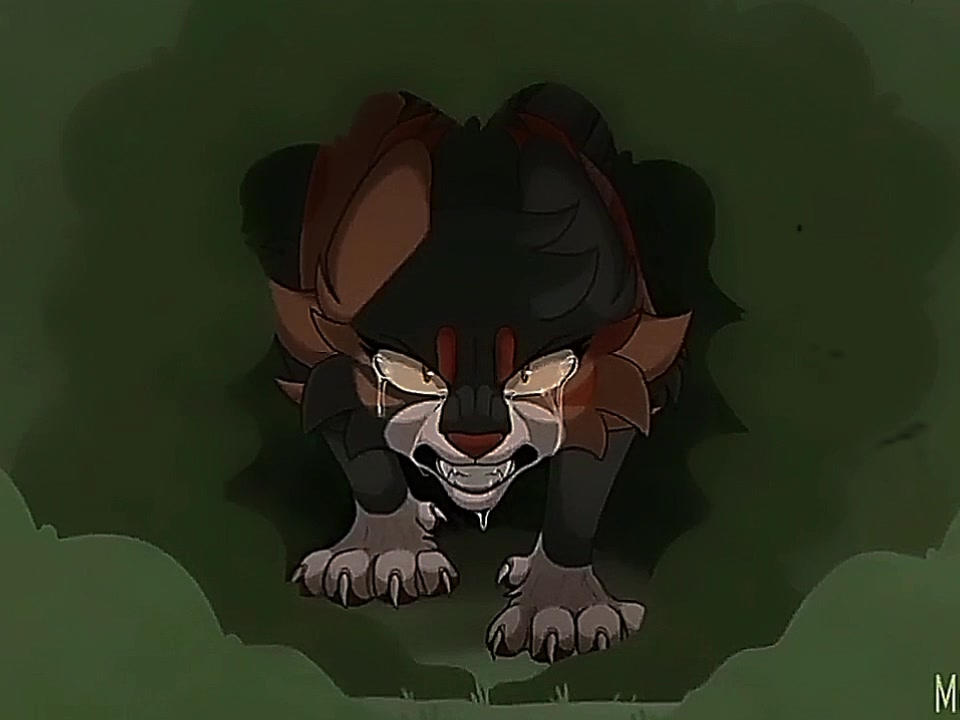 Warrior Cats Edit By Robotcat2000 On Deviantart