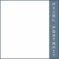 Pixel Portrait Tutorial