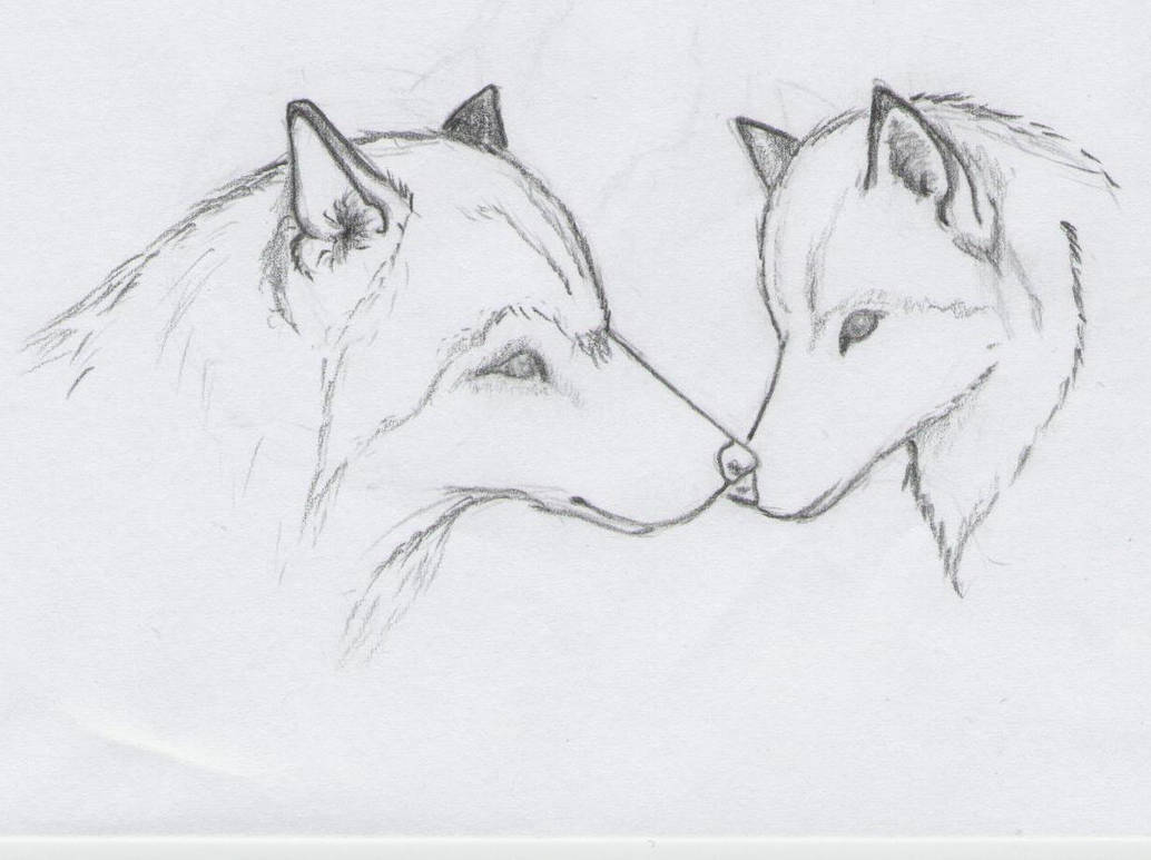 Легкий эскиз карандашом. Рисунки карандашом. Животные для срисовки карандашом. Рисунки для срисовывания карандашом. Рисунок волка карандашом для срисовки.