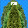 TREE SHRUBS PSD