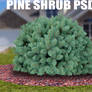 PINE TREE SHRUB PSD