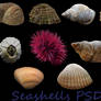 Sea Shells PSD