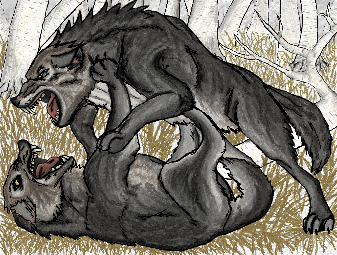 Wolves Fight Draw- With Background by chaosjelly on DeviantArt