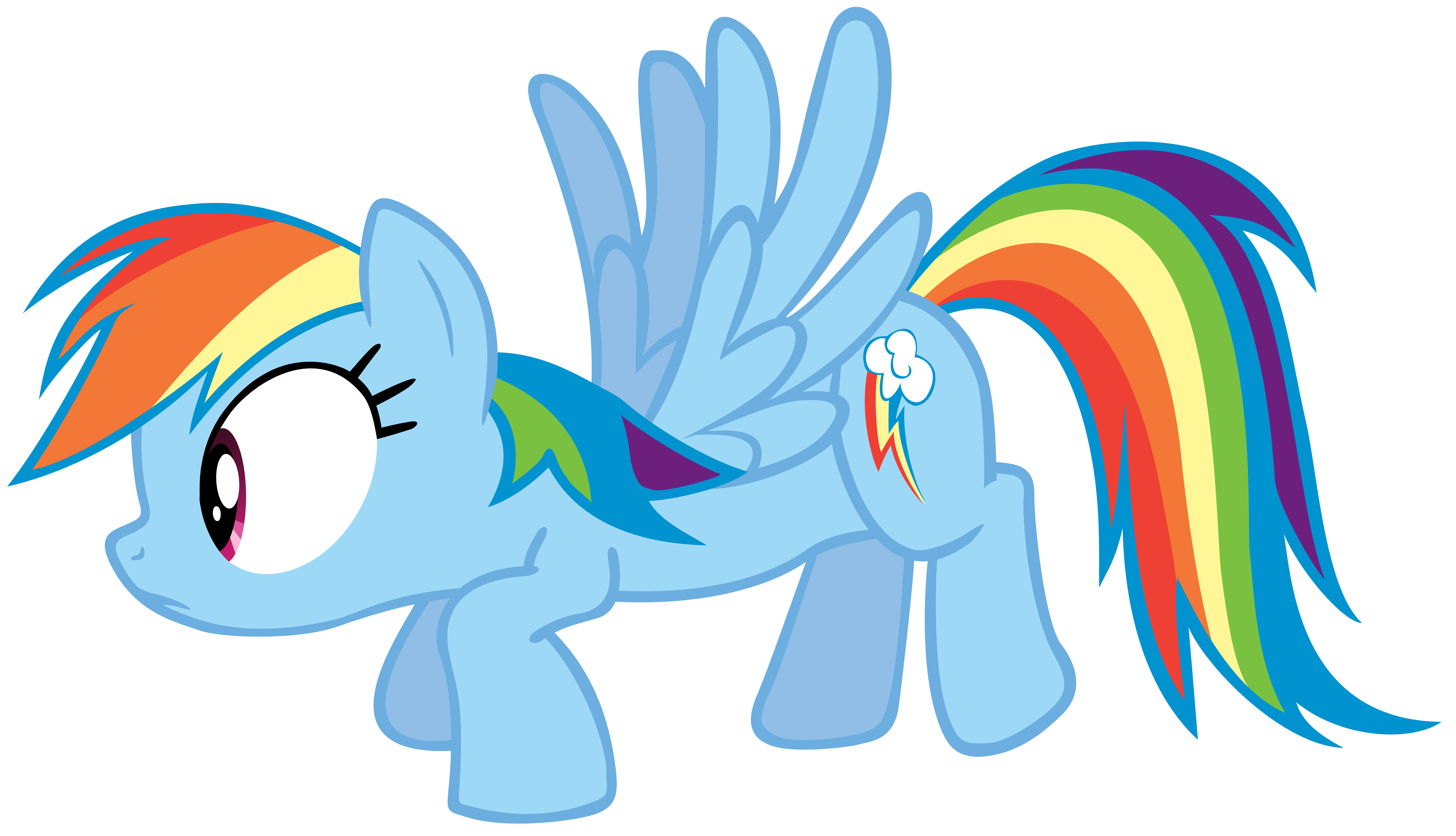 Dashie caught off guard