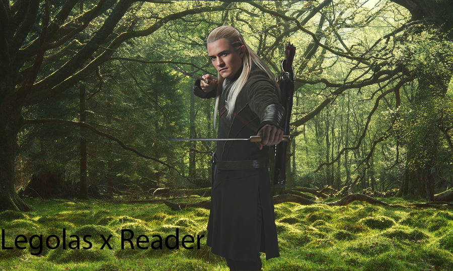 Chapter 4: We're Taking the Hobbits to Rivendell~, Divided (Aragorn x OC x  Legolas)