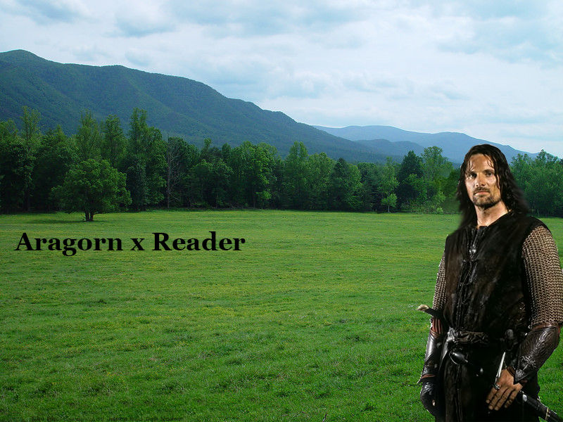 Aragorn x Reader by captainamelialover on DeviantArt