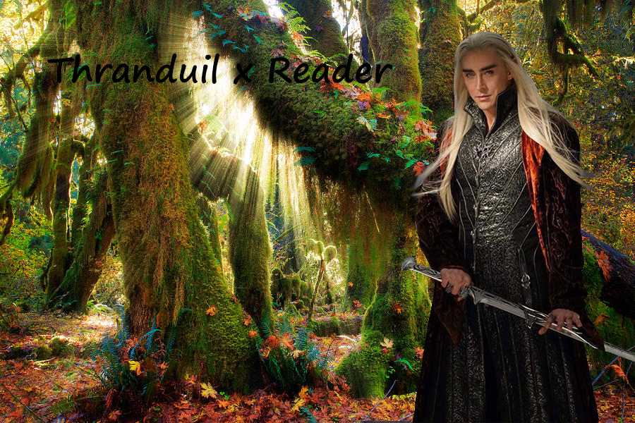 Thranduil x Reader Chapter 3 by captainamelialover on DeviantArt