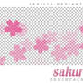 Sakura - Brushpack #01