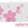 Sakura 02 - Brushpack #02