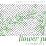 Flower Power - Brushpack #06