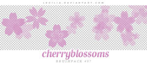 Cherryblossoms - Brushpack #07