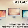 Life Colors Wallpaper