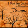 5 Dead Tree Brushes