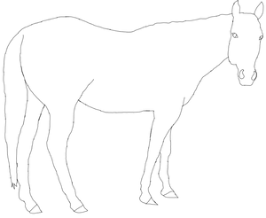 Horse Line-Art