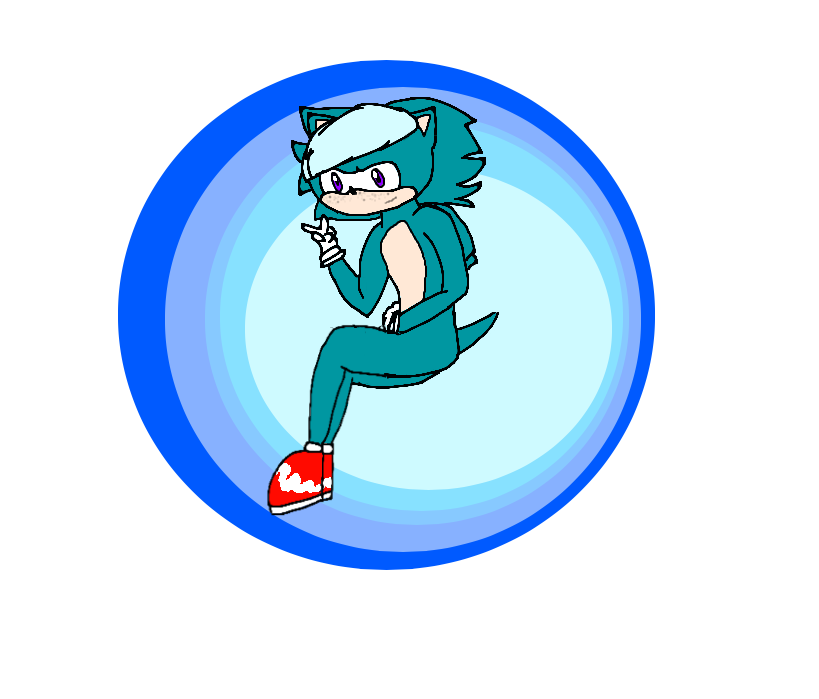 Ethan The Hedgehog (Bio) by MarizaMissa on DeviantArt