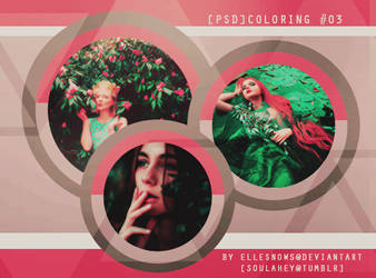 [PSD] Coloring #03